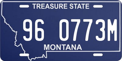 MT license plate 960773M