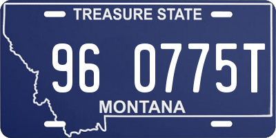 MT license plate 960775T