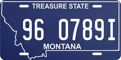 MT license plate 960789I