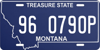 MT license plate 960790P