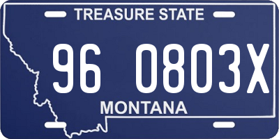 MT license plate 960803X