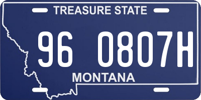 MT license plate 960807H