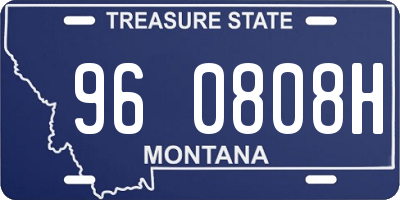MT license plate 960808H