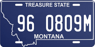 MT license plate 960809M