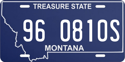 MT license plate 960810S