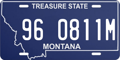 MT license plate 960811M