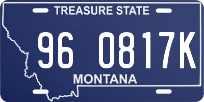 MT license plate 960817K