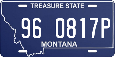 MT license plate 960817P