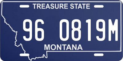 MT license plate 960819M