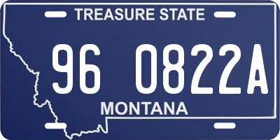 MT license plate 960822A