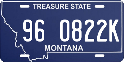 MT license plate 960822K