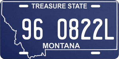 MT license plate 960822L