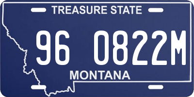 MT license plate 960822M