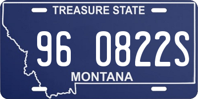 MT license plate 960822S