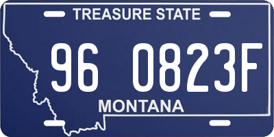 MT license plate 960823F