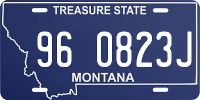 MT license plate 960823J