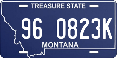 MT license plate 960823K