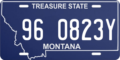MT license plate 960823Y
