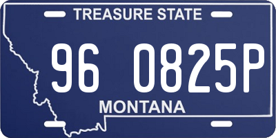 MT license plate 960825P