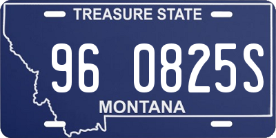 MT license plate 960825S