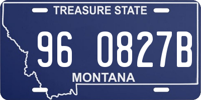 MT license plate 960827B