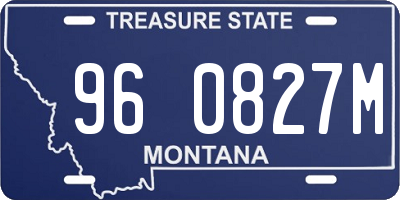MT license plate 960827M