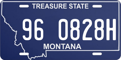 MT license plate 960828H