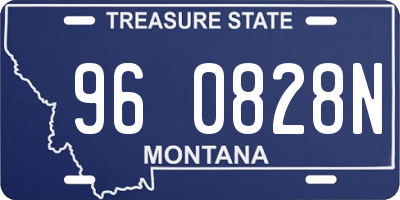 MT license plate 960828N