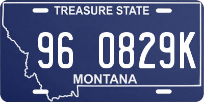 MT license plate 960829K