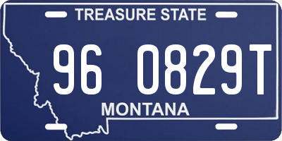 MT license plate 960829T