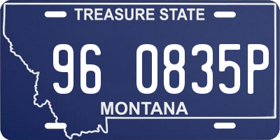 MT license plate 960835P