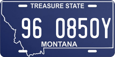 MT license plate 960850Y