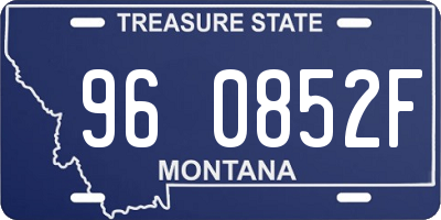 MT license plate 960852F