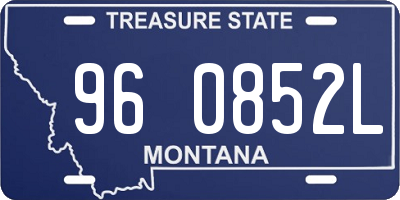 MT license plate 960852L