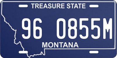 MT license plate 960855M