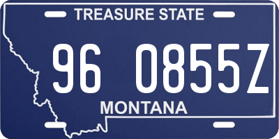 MT license plate 960855Z
