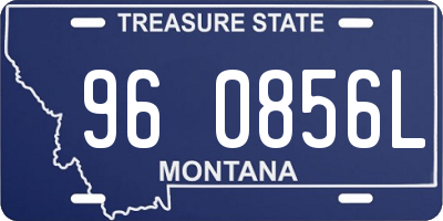 MT license plate 960856L