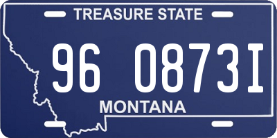MT license plate 960873I