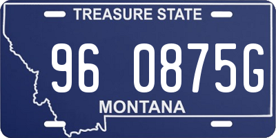 MT license plate 960875G