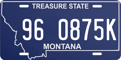 MT license plate 960875K
