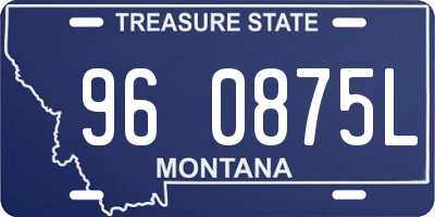 MT license plate 960875L
