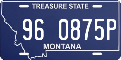 MT license plate 960875P