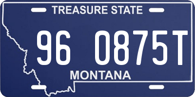 MT license plate 960875T