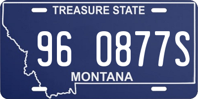 MT license plate 960877S