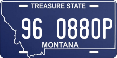 MT license plate 960880P
