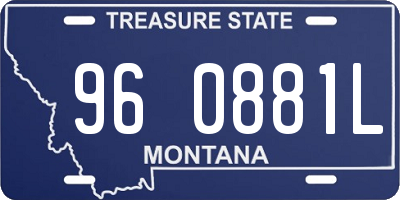 MT license plate 960881L
