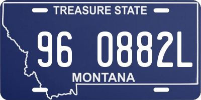 MT license plate 960882L