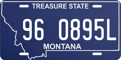 MT license plate 960895L