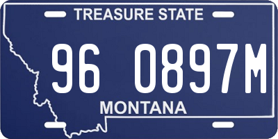 MT license plate 960897M