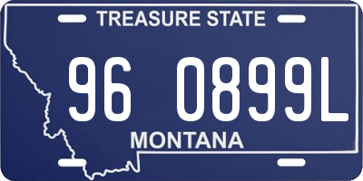 MT license plate 960899L